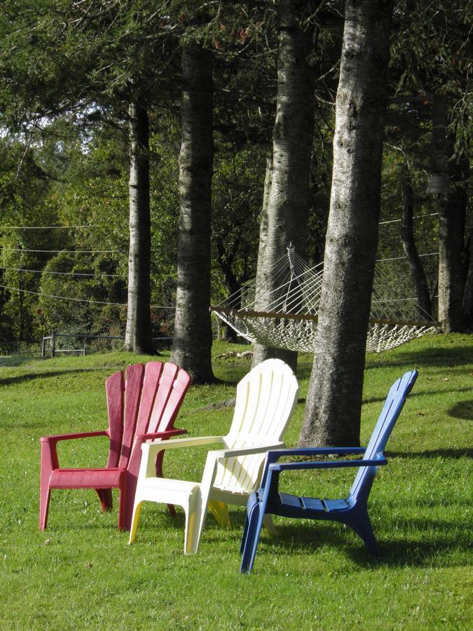 Firefly Bed & Breakfast Lincoln Exterior photo