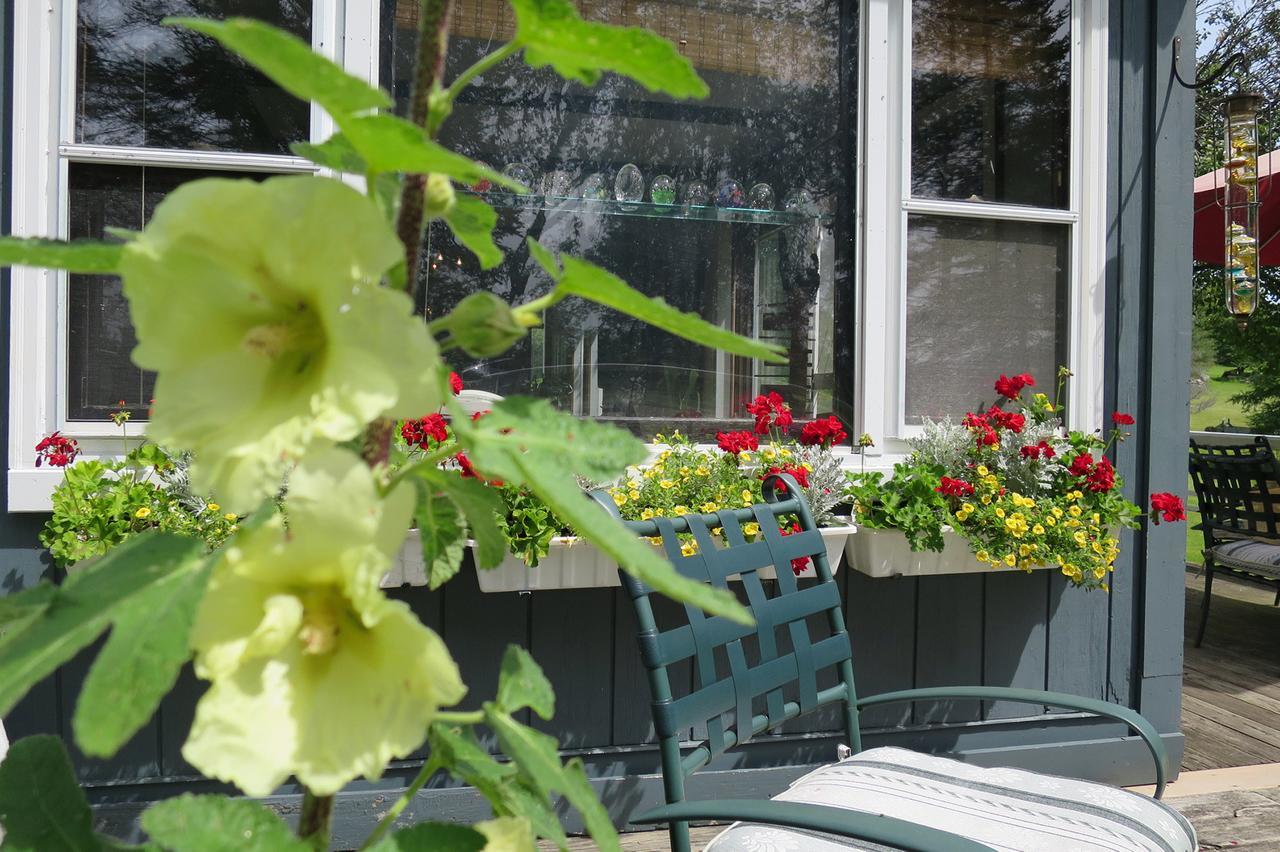 Firefly Bed & Breakfast Lincoln Exterior photo