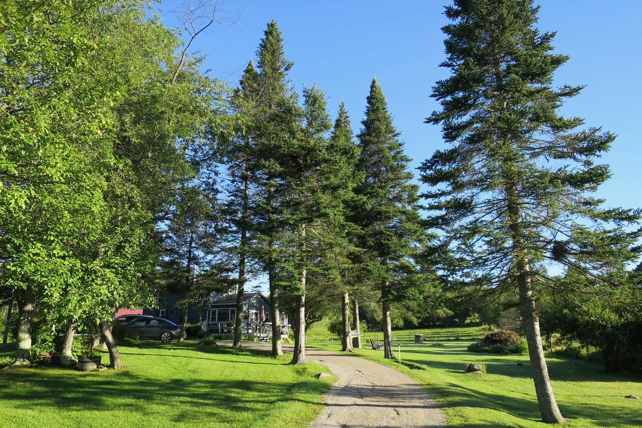 Firefly Bed & Breakfast Lincoln Exterior photo